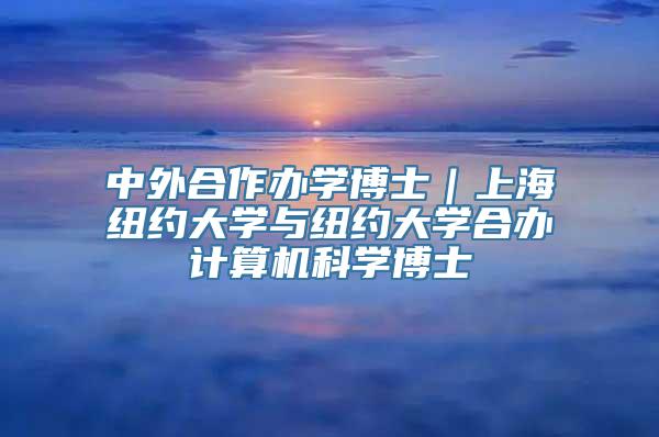 中外合作办学博士｜上海纽约大学与纽约大学合办计算机科学博士