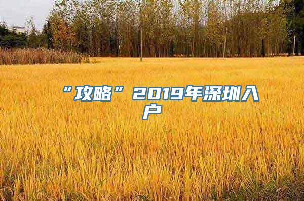 “攻略”2019年深圳入户