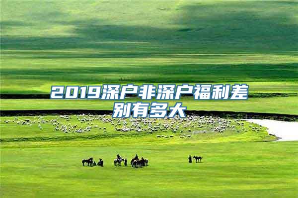 2019深户非深户福利差别有多大