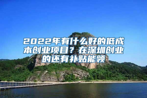 2022年有什么好的低成本创业项目？在深圳创业的还有补贴能领