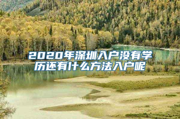 2020年深圳入户没有学历还有什么方法入户呢