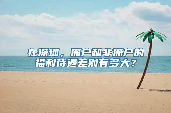 在深圳，深户和非深户的福利待遇差别有多大？