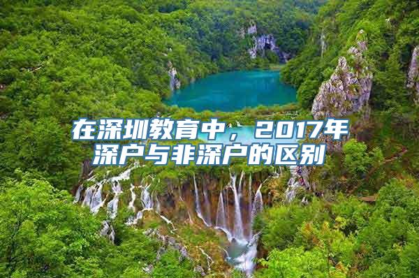 在深圳教育中，2017年深户与非深户的区别