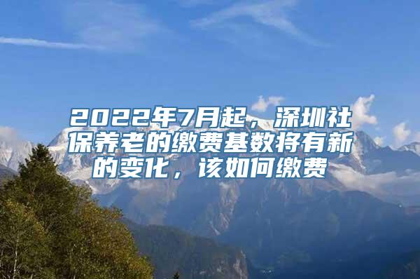 2022年7月起，深圳社保养老的缴费基数将有新的变化，该如何缴费