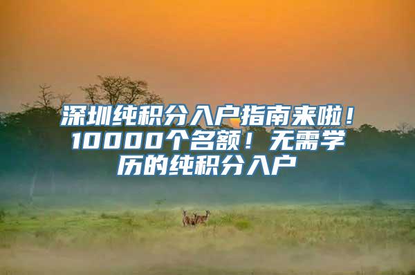 深圳纯积分入户指南来啦！10000个名额！无需学历的纯积分入户