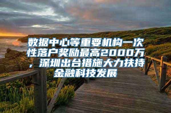 数据中心等重要机构一次性落户奖励最高2000万，深圳出台措施大力扶持金融科技发展