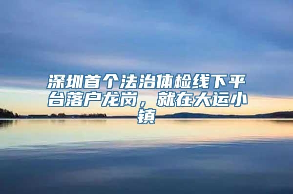 深圳首个法治体检线下平台落户龙岗，就在大运小镇