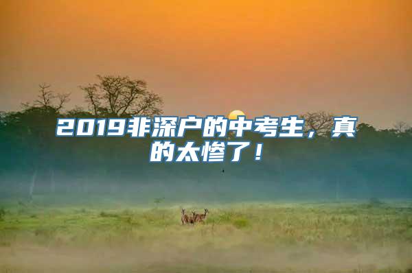 2019非深户的中考生，真的太惨了！