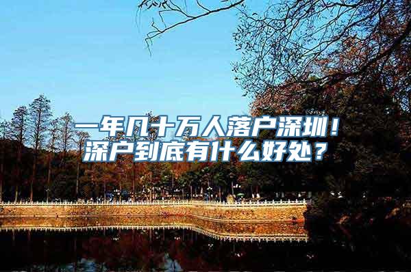 一年几十万人落户深圳！深户到底有什么好处？