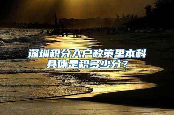 深圳积分入户政策里本科具体是积多少分？