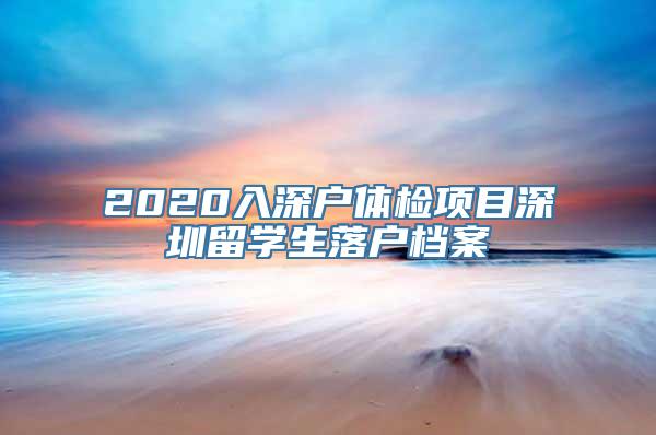 2020入深户体检项目深圳留学生落户档案