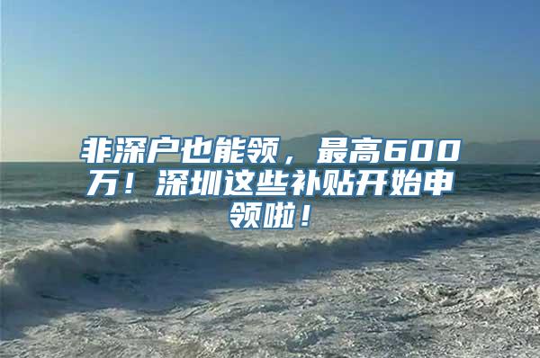 非深户也能领，最高600万！深圳这些补贴开始申领啦！