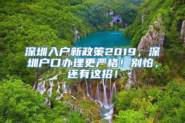 深圳入户新政策2019，深圳户口办理更严格！别怕，还有这招！