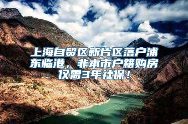 上海自贸区新片区落户浦东临港，非本市户籍购房仅需3年社保！