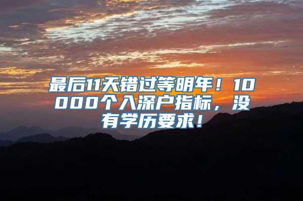 最后11天错过等明年！10000个入深户指标，没有学历要求！