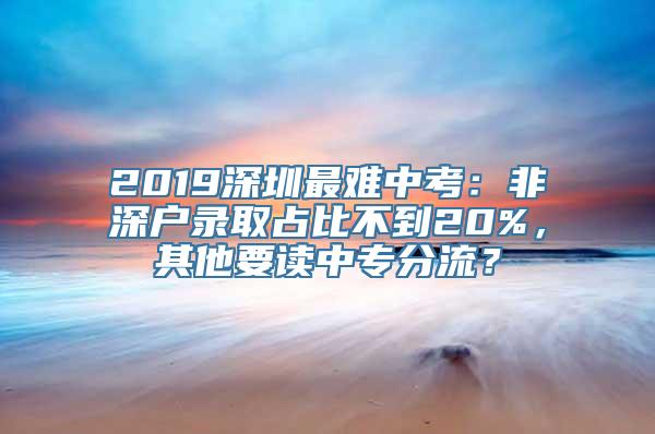 2019深圳最难中考：非深户录取占比不到20%，其他要读中专分流？