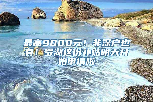 最高9000元！非深户也有！罗湖这份补贴明天开始申请啦