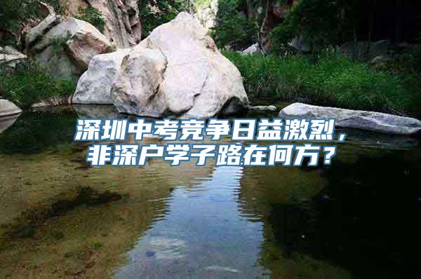 深圳中考竞争日益激烈，非深户学子路在何方？