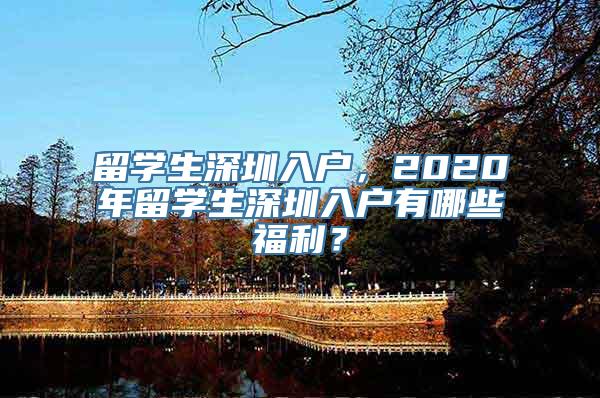 留学生深圳入户，2020年留学生深圳入户有哪些福利？