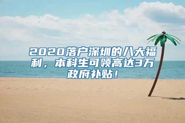 2020落户深圳的八大福利，本科生可领高达3万政府补贴！