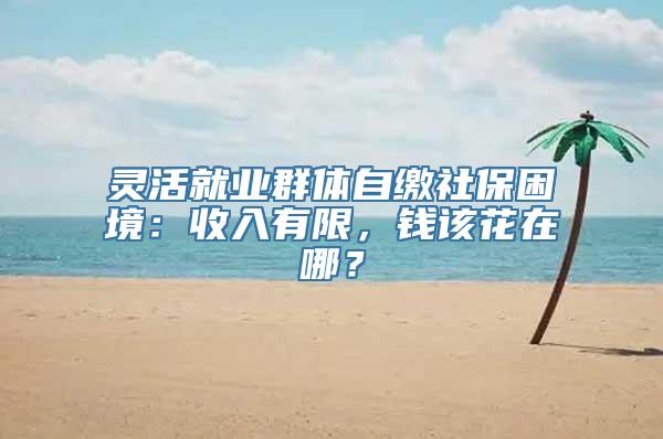 灵活就业群体自缴社保困境：收入有限，钱该花在哪？