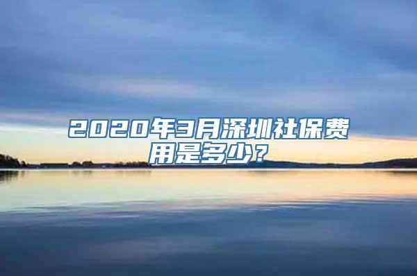 2020年3月深圳社保费用是多少？