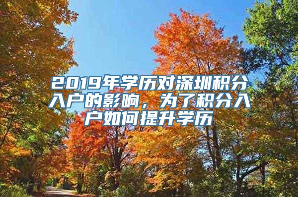 2019年学历对深圳积分入户的影响，为了积分入户如何提升学历