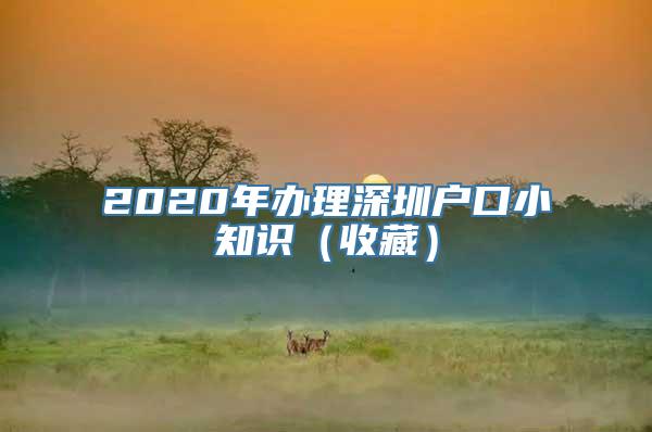 2020年办理深圳户口小知识（收藏）