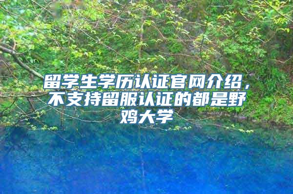 留学生学历认证官网介绍，不支持留服认证的都是野鸡大学