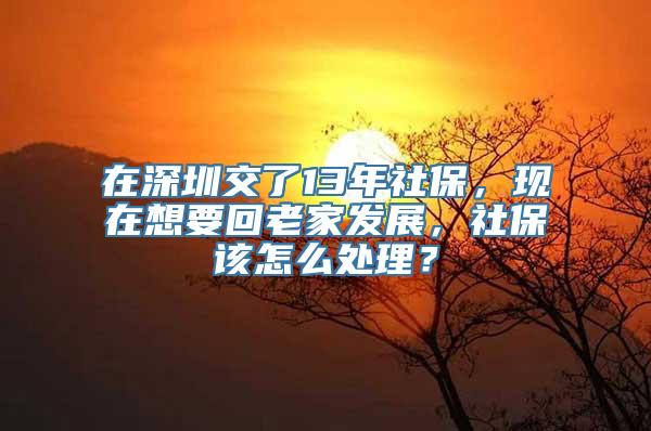 在深圳交了13年社保，现在想要回老家发展，社保该怎么处理？