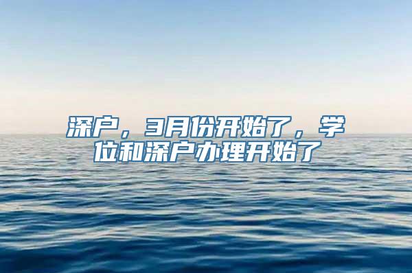 深户，3月份开始了，学位和深户办理开始了