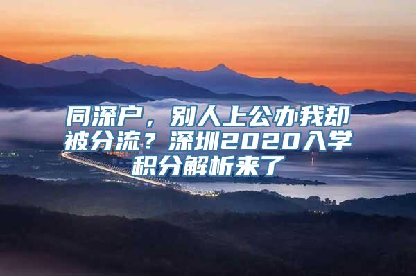 同深户，别人上公办我却被分流？深圳2020入学积分解析来了