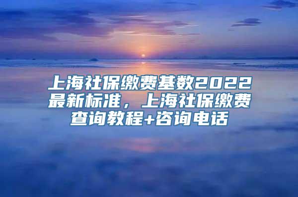 上海社保缴费基数2022最新标准，上海社保缴费查询教程+咨询电话