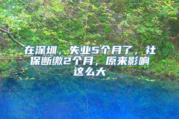 在深圳，失业5个月了，社保断缴2个月，原来影响这么大