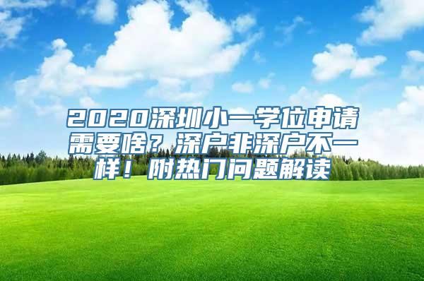 2020深圳小一学位申请需要啥？深户非深户不一样！附热门问题解读