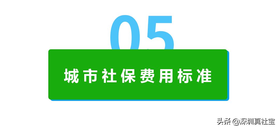 靠谱社保代缴公司选择与社保缴费标准