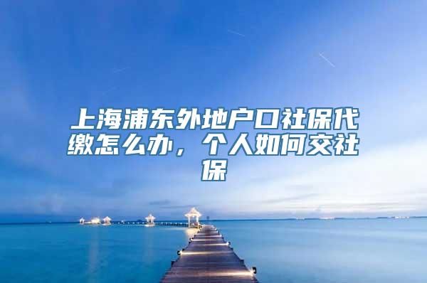 上海浦东外地户口社保代缴怎么办，个人如何交社保