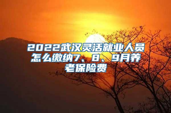 2022武汉灵活就业人员怎么缴纳7、8、9月养老保险费