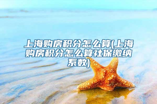 上海购房积分怎么算(上海购房积分怎么算社保缴纳系数)