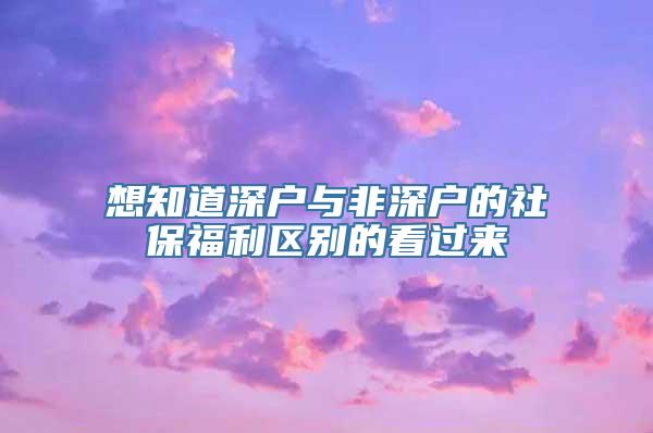 想知道深户与非深户的社保福利区别的看过来