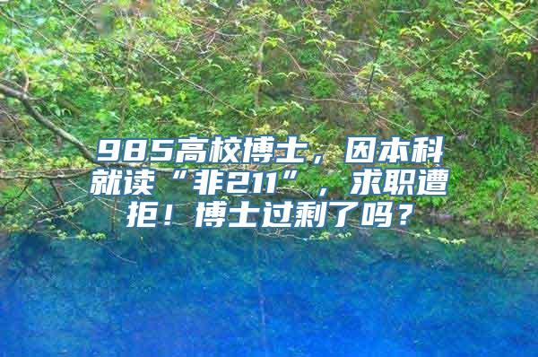 985高校博士，因本科就读“非211”，求职遭拒！博士过剩了吗？