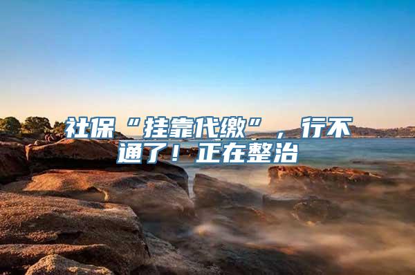 社保“挂靠代缴”，行不通了！正在整治