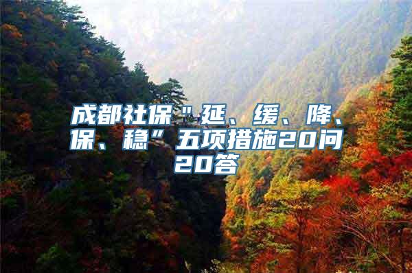 成都社保＂延、缓、降、保、稳”五项措施20问20答