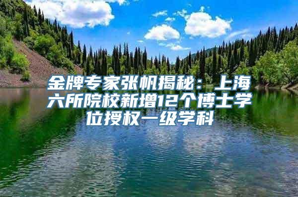 金牌专家张帆揭秘：上海六所院校新增12个博士学位授权一级学科