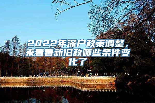 2022年深户政策调整，来看看新旧政哪些条件变化了