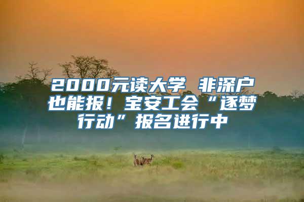 2000元读大学 非深户也能报！宝安工会“逐梦行动”报名进行中