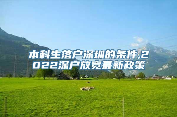 本科生落户深圳的条件,2022深户放宽蕞新政策