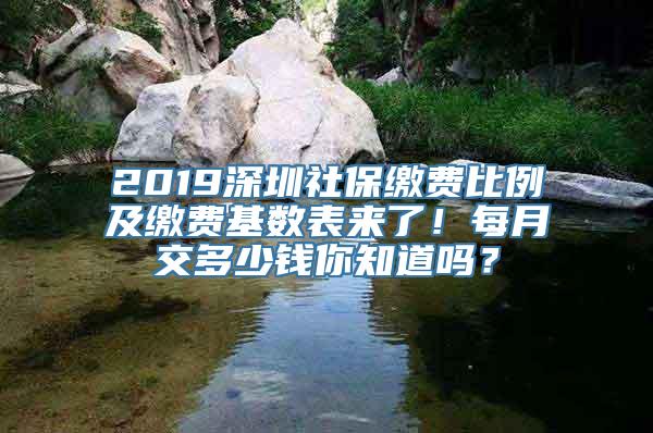 2019深圳社保缴费比例及缴费基数表来了！每月交多少钱你知道吗？