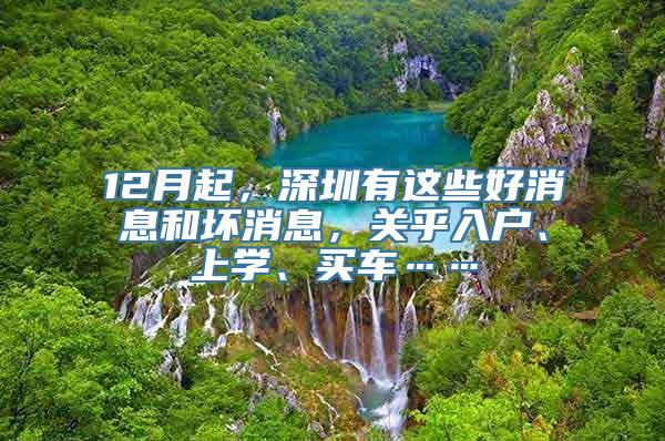 12月起，深圳有这些好消息和坏消息，关乎入户、上学、买车……