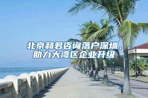 北京和君咨询落户深圳，助力大湾区企业升级